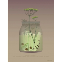 Vissevasse - Αφίσα 30x40cm Pickled Cucumbers