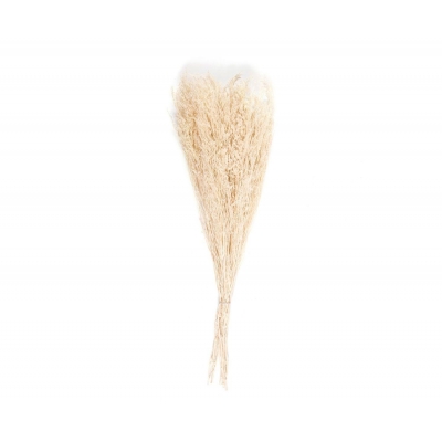 Andrea House - Αποξηραμένα Λουλούδια Statice Natural 70cm