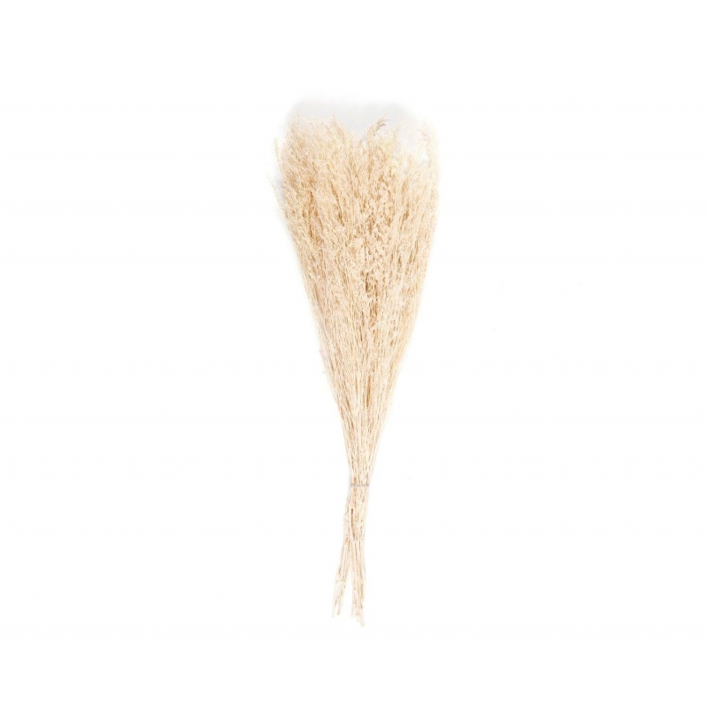 Andrea House - Αποξηραμένα Λουλούδια Statice Natural 70cm Andrea House - Αποξηραμένα Λουλούδια Statice Natural 70cm