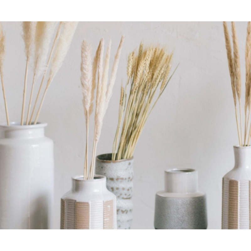 Andrea House - Αποξηραμένα Λουλούδια 6τμχ White Phragmitos 70cm Andrea House - Αποξηραμένα Λουλούδια 6τμχ White Phragmitos 70cm