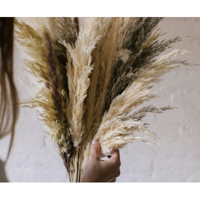 Andrea House - Αποξηραμένα Λουλούδια 3τμχ Pampas Natural 95cm