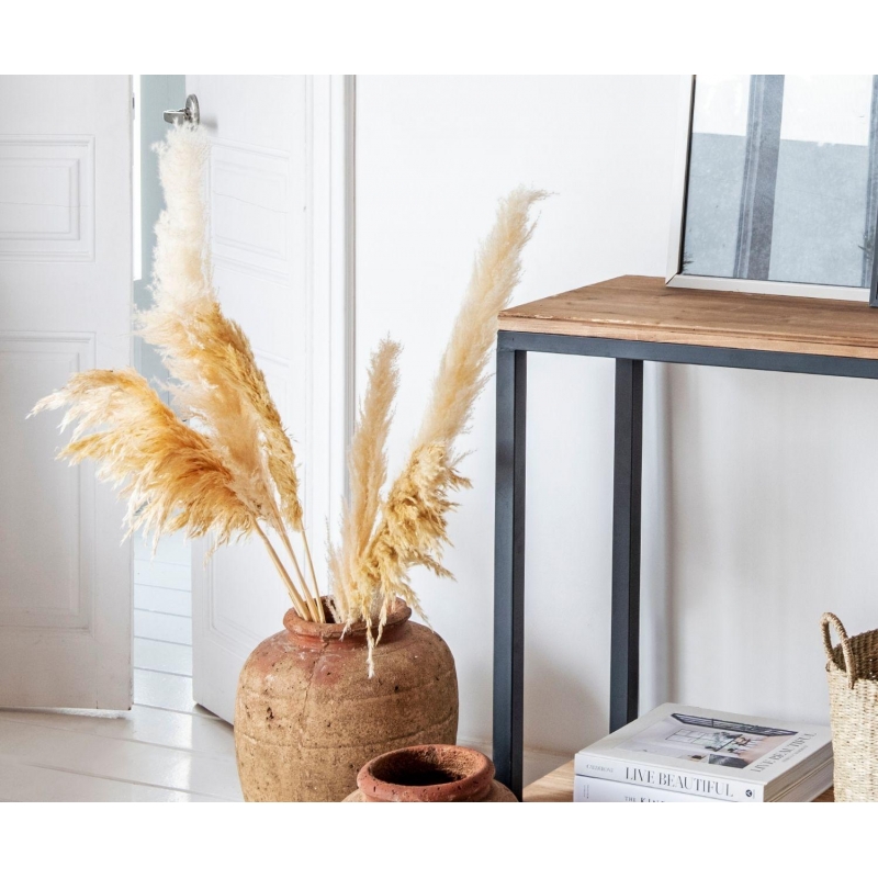 Andrea House - Αποξηραμένα Λουλούδια 3τμχ Pampas Cream 105cm Andrea House - Αποξηραμένα Λουλούδια 3τμχ Pampas Cream 105cm