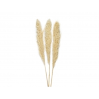 Andrea House - Αποξηραμένα Λουλούδια 3τμχ Pampas Cream 105cm Andrea House - Αποξηραμένα Λουλούδια 3τμχ Pampas Cream 105cm