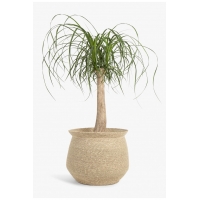 Calma House - Καλάθι Kombu Natural 36x26x31cm