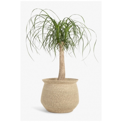 Calma House - Καλάθι Kombu Natural 36x26x31cm