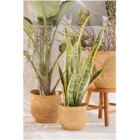 Calma House - Καλάθι Kombu Natural  28x18x25cm