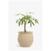 Calma House - Καλάθι Kombu Natural  28x18x25cm