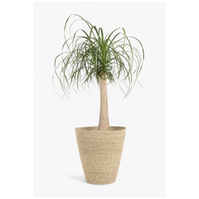 Calma House - Καλάθι Nori Natural 38x20x37cm Calma House - Καλάθι Nori Natural 38x20x37cm