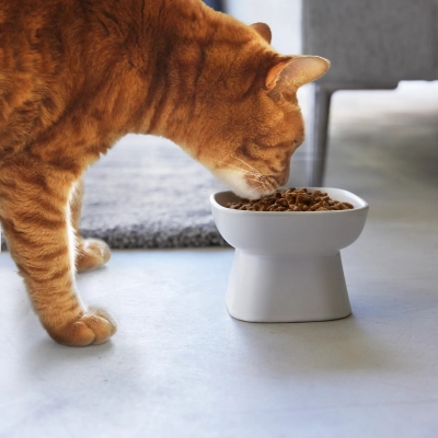 Yamazaki - Κεραμικό Μπολ Φαγητού Για Κατοικίδια Tower WH Yamazaki - Κεραμικό Μπολ Φαγητού Για Κατοικίδια Tower WH