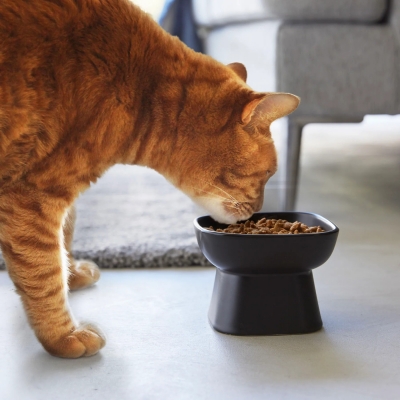 Yamazaki - Κεραμικό Μπολ Φαγητού Για Κατοικίδια Tower BK Yamazaki - Κεραμικό Μπολ Φαγητού Για Κατοικίδια Tower BK