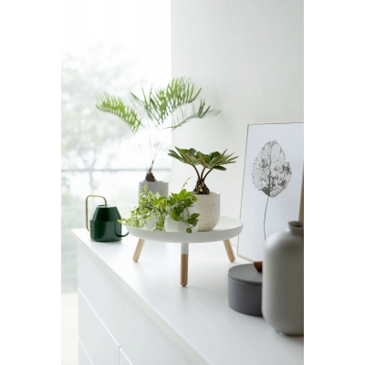 Yamazaki - Μεταλλικός Δίσκος Με Ξύλινα Πόδια WH Yamazaki - Μεταλλικός Δίσκος Με Ξύλινα Πόδια WH