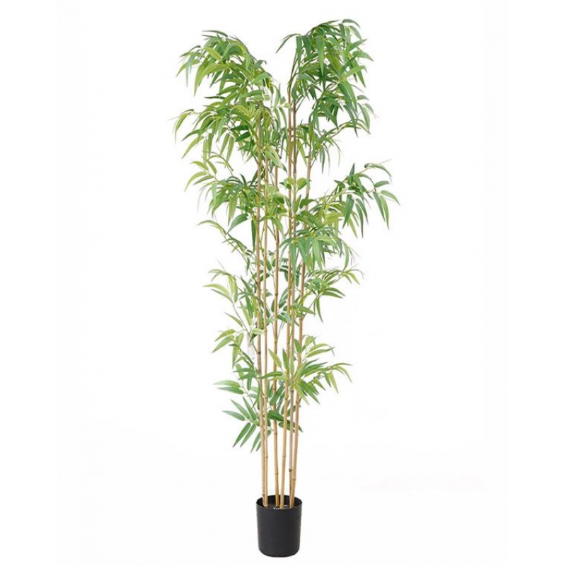 BAMBOO NP5801_180_22_UV ΥΨΟΣ 180cm NewPlan BAMBOO NP5801_180_22_UV ΥΨΟΣ 180cm NewPlan