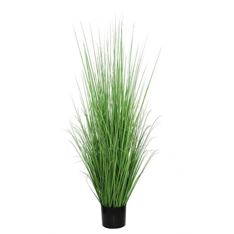ONION GRASS TREE NP1011_120 ΥΨΟΣ 120cm NewPlan ONION GRASS TREE NP1011_120 ΥΨΟΣ 120cm NewPlan