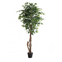 FICUS TREE NP5209_180 ΥΨΟΣ 180cm NewPlan FICUS TREE NP5209_180 ΥΨΟΣ 180cm NewPlan