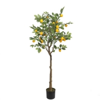 LEMON TREE NP_30_170 ΥΨΟΣ 170cm NewPlan LEMON TREE NP_30_170 ΥΨΟΣ 170cm NewPlan