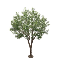 OLIVE TREE NP496_240_UV ΥΨΟΣ 240cm NewPlan OLIVE TREE NP496_240_UV ΥΨΟΣ 240cm NewPlan