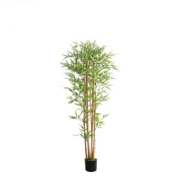 BAMBOO NP0075_180 ΥΨΟΣ 180cm NewPlan BAMBOO NP0075_180 ΥΨΟΣ 180cm NewPlan