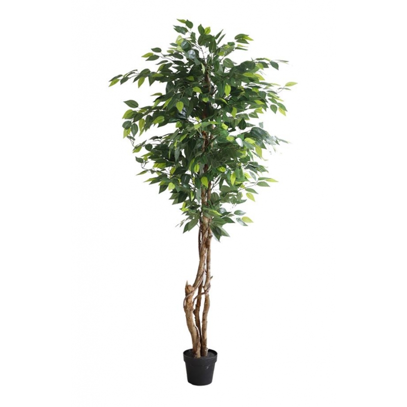 FICUS TREE NP5208_150 ΥΨΟΣ 150cm NewPlan FICUS TREE NP5208_150 ΥΨΟΣ 150cm NewPlan