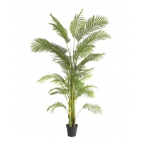 PALM TREE NP5500_240_22 ΥΨΟΣ 240cm NewPlan PALM TREE NP5500_240_22 ΥΨΟΣ 240cm NewPlan