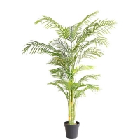 PALM TREE NP5506_180_22 ΥΨΟΣ 180cm NewPlan PALM TREE NP5506_180_22 ΥΨΟΣ 180cm NewPlan