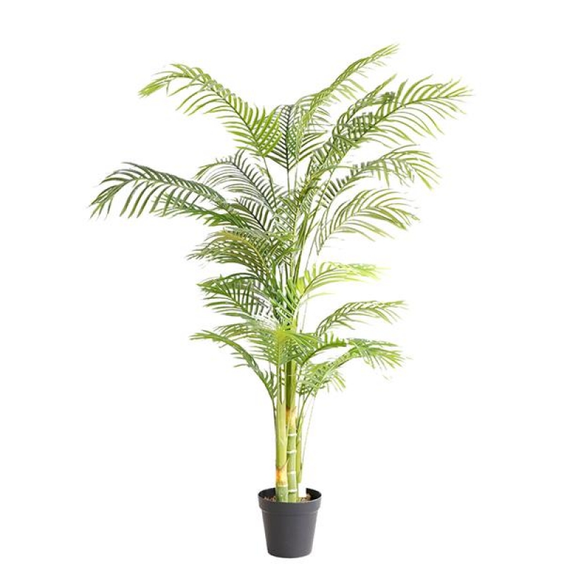 PALM TREE NP5506_180_22 ΥΨΟΣ 180cm NewPlan PALM TREE NP5506_180_22 ΥΨΟΣ 180cm NewPlan