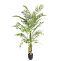 PALM TREE NP5501_210_22 ΥΨΟΣ 210cm NewPlan PALM TREE NP5501_210_22 ΥΨΟΣ 210cm NewPlan