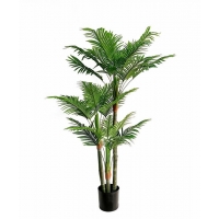 PALM TREE NP0268_170 ΥΨΟΣ 170cm NewPlan PALM TREE NP0268_170 ΥΨΟΣ 170cm NewPlan