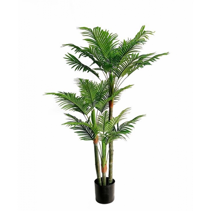 PALM TREE NP0268_170 ΥΨΟΣ 170cm NewPlan PALM TREE NP0268_170 ΥΨΟΣ 170cm NewPlan