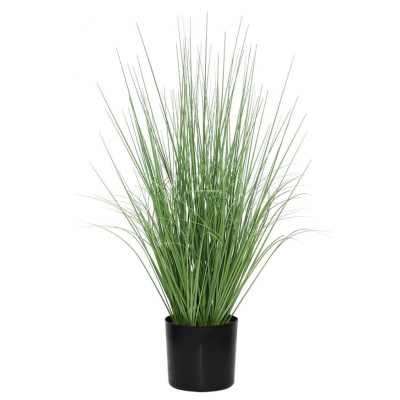 ONION GRASS TREE  NP1009_60 ΥΨΟΣ 60cm NewPlan