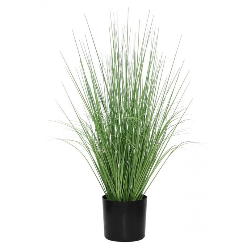 ONION GRASS TREE NP1009_60 ΥΨΟΣ 60cm NewPlan ONION GRASS TREE NP1009_60 ΥΨΟΣ 60cm NewPlan