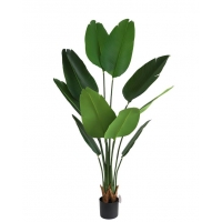 BIRD OF PARADISE NP717_160 ΥΨΟΣ 160cm NewPlan BIRD OF PARADISE NP717_160 ΥΨΟΣ 160cm NewPlan