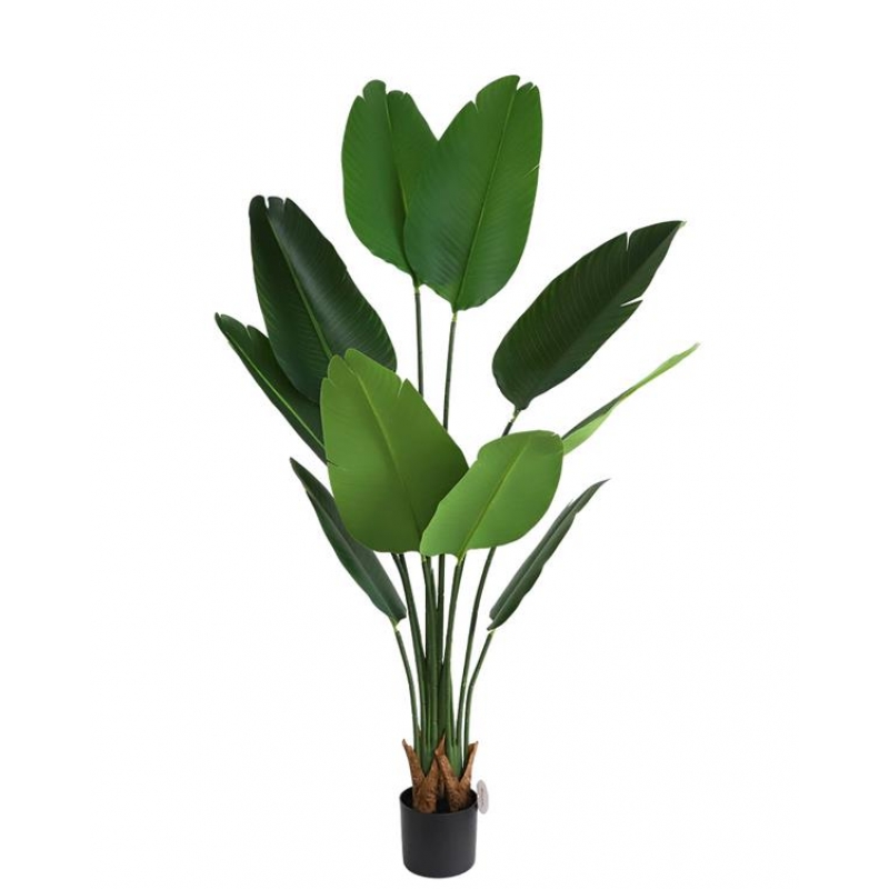 BIRD OF PARADISE NP717_160 ΥΨΟΣ 160cm NewPlan BIRD OF PARADISE NP717_160 ΥΨΟΣ 160cm NewPlan