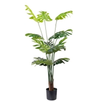MONSTERA NP6314_155_22 ΥΨΟΣ 155cm NewPlan MONSTERA NP6314_155_22 ΥΨΟΣ 155cm NewPlan