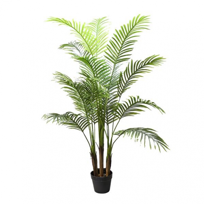 PALM TREE  NP5505_150_22  ΥΨΟΣ 150cm NewPlan