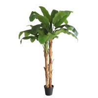BANANA TREE NP707_240 ΥΨΟΣ 240cm NewPlan BANANA TREE NP707_240 ΥΨΟΣ 240cm NewPlan