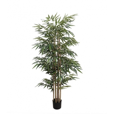 BAMBOO NP824_153 ΥΨΟΣ 153cm NewPlan BAMBOO NP824_153 ΥΨΟΣ 153cm NewPlan