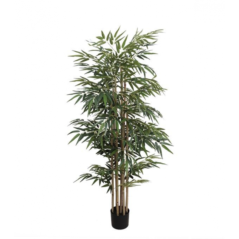 BAMBOO NP824_153 ΥΨΟΣ 153cm NewPlan BAMBOO NP824_153 ΥΨΟΣ 153cm NewPlan