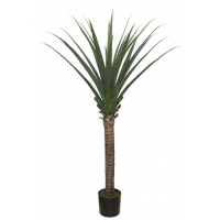 AGAVE TREE NP802_160 ΥΨΟΣ 160cm NewPlan AGAVE TREE NP802_160 ΥΨΟΣ 160cm NewPlan