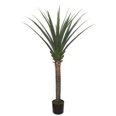 AGAVE TREE  NP802_160  ΥΨΟΣ 160cm NewPlan