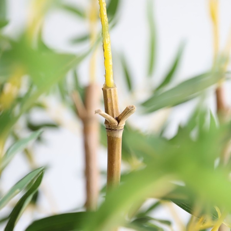BAMBOO IN POT NP827_180_UV  ΥΨΟΣ 180cm NewPlan