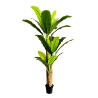 BANANA TREE NP017_240_22 ΥΨΟΣ 240cm NewPlan BANANA TREE NP017_240_22 ΥΨΟΣ 240cm NewPlan