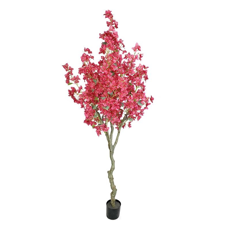 BOUGAINVILLEA NP0421_210 ΥΨΟΣ 210cm NewPlan BOUGAINVILLEA NP0421_210 ΥΨΟΣ 210cm NewPlan