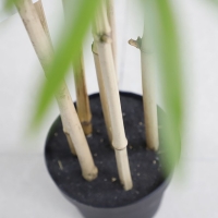 BAMBOO  NP0070_210 ΥΨΟΣ 210cm NewPlan