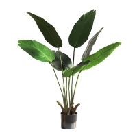 BANANA TREE NP1410_120 ΥΨΟΣ 120cm NewPlan BANANA TREE NP1410_120 ΥΨΟΣ 120cm NewPlan