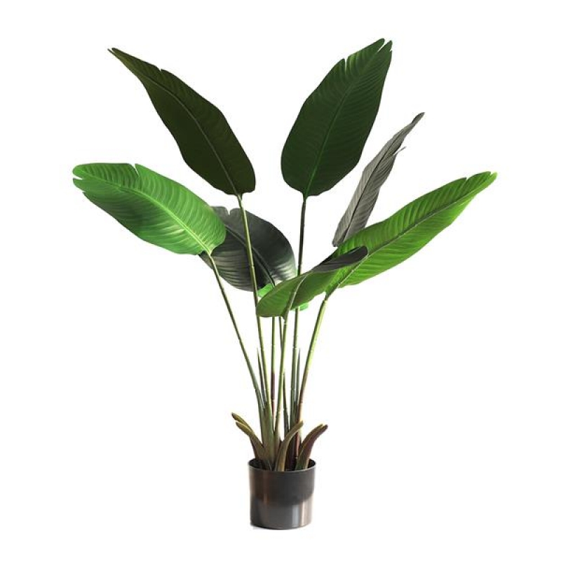 BANANA TREE NP1410_120 ΥΨΟΣ 120cm NewPlan BANANA TREE NP1410_120 ΥΨΟΣ 120cm NewPlan