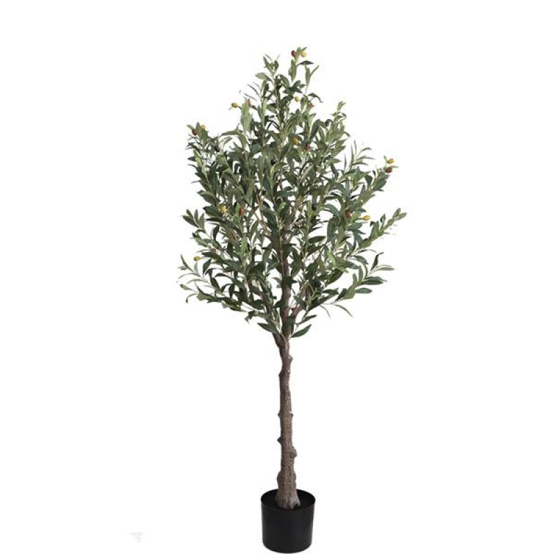 OLIVE TREE NP439_150 ΥΨΟΣ 150cm NewPlan OLIVE TREE NP439_150 ΥΨΟΣ 150cm NewPlan