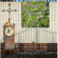 ΚΑΘΕΤΟΣ ΚΗΠΟΣ AMSTERDAM 100 Χ 100 F213 NewPlan