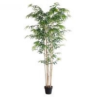 BAMBOO NP0070_210 ΥΨΟΣ 210cm NewPlan BAMBOO NP0070_210 ΥΨΟΣ 210cm NewPlan