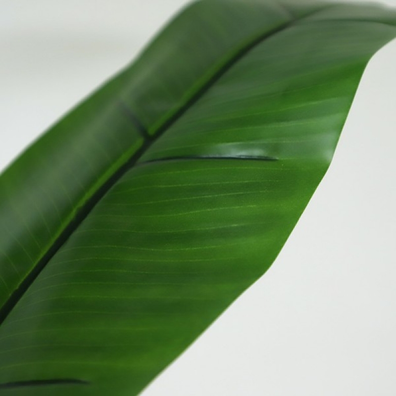 BANANA TREE NP702_145 ΥΨΟΣ 145cm NewPlan BANANA TREE NP702_145 ΥΨΟΣ 145cm NewPlan