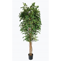 FICUS TREE NP230_210_UV ΥΨΟΣ 210cm NewPlan FICUS TREE NP230_210_UV ΥΨΟΣ 210cm NewPlan